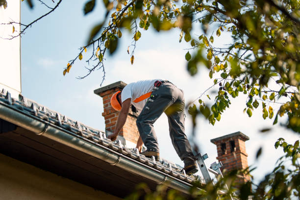 Best Roof Gutter Cleaning  in Davidson, NC