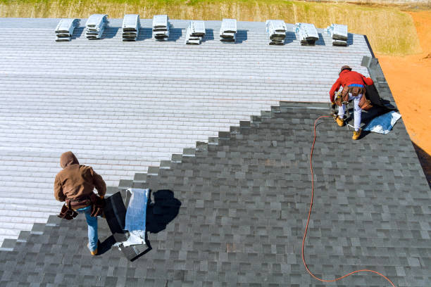 Best Metal Roofing Contractor  in Davidson, NC